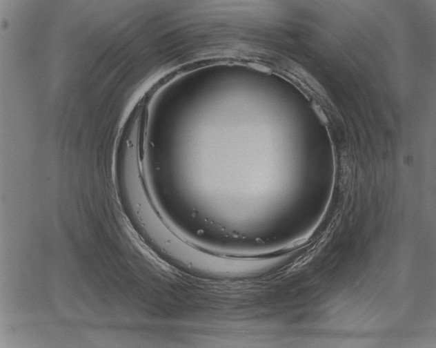 X0000065970788200603061148