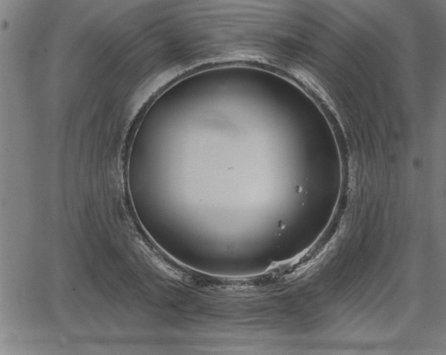 X0000065970789200603061148