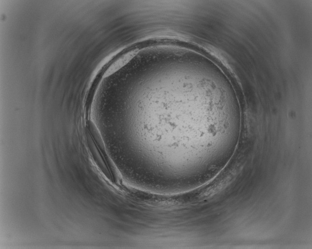 X0000065970791200603061148