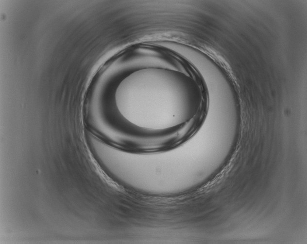 X0000065970792200603061148