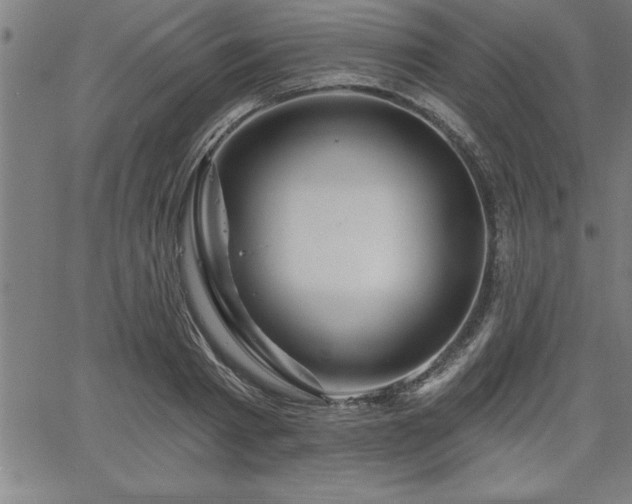 X0000065970793200603061148