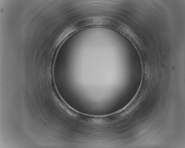 X0000065970794200603061148