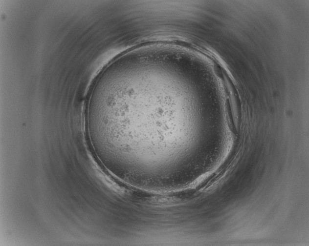 X0000065970795200603061148