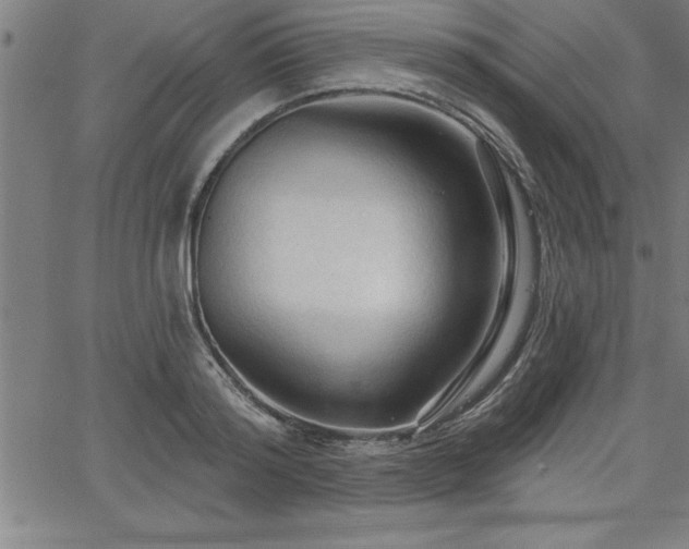 X0000065970796200603061148