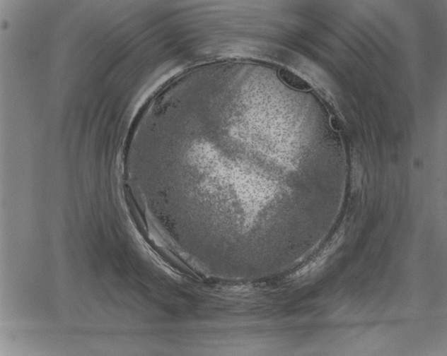 X0000065970798200603061148