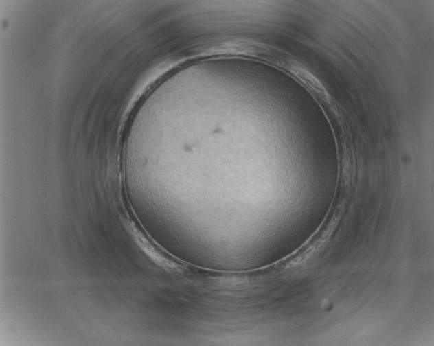 X0000065970800200603061148