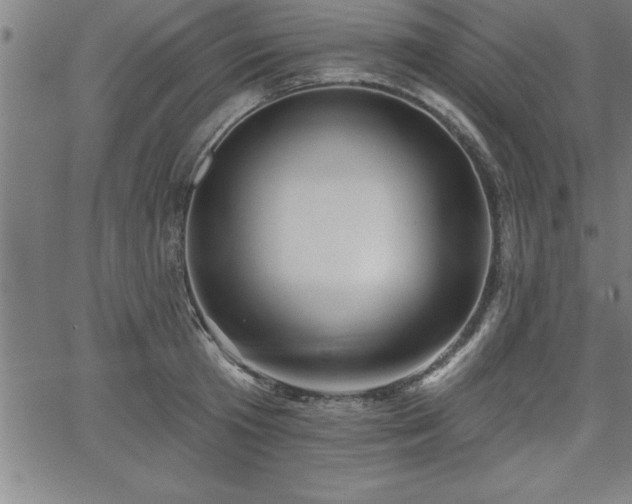 X0000065970801200603061148