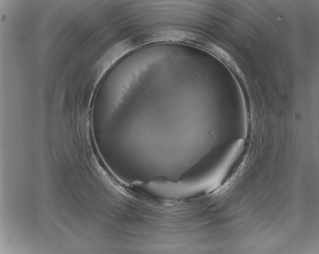 X0000065970802200603061148