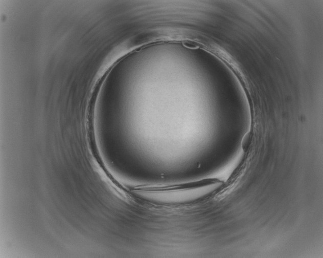 X0000065970803200603061148