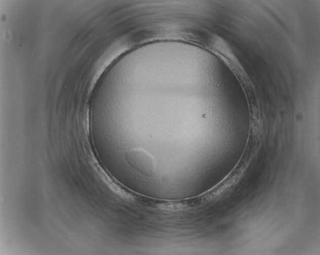 X0000065970804200603061148