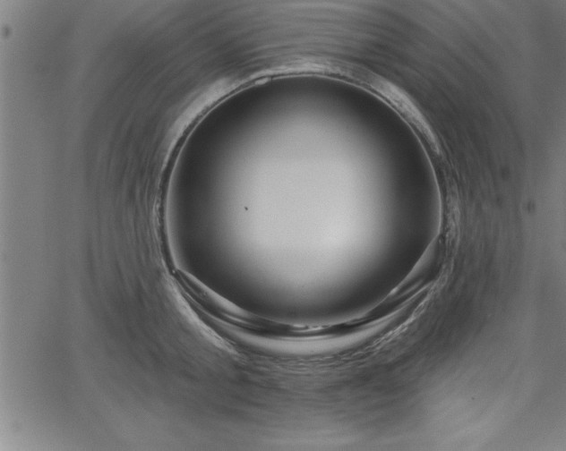 X0000065970805200603061148