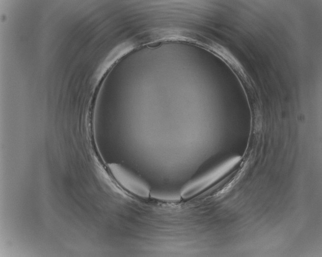 X0000065970806200603061148