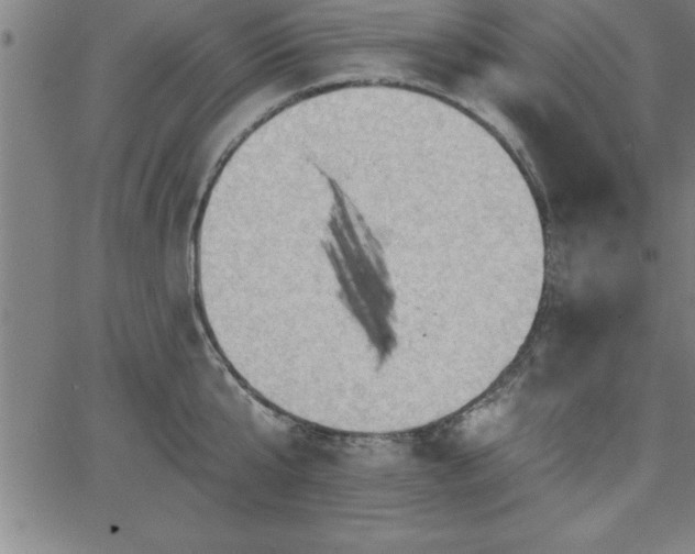 X0000065970807200603061148