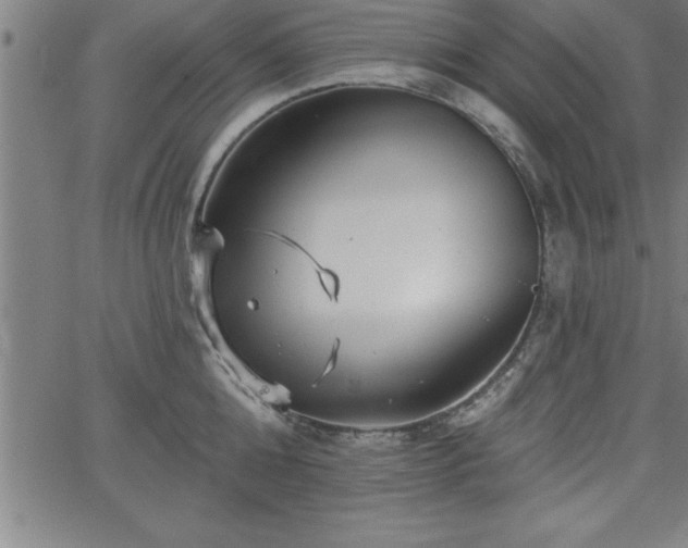 X0000065970808200603061148