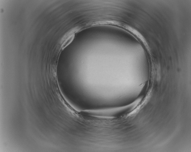 X0000065970809200603061148