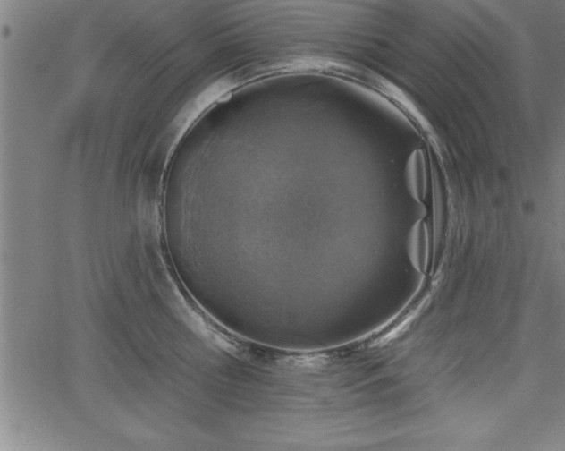 X0000065970810200603061148