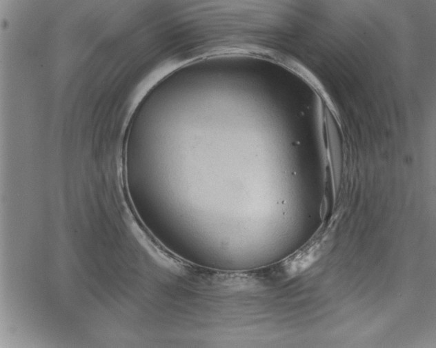 X0000065970811200603061148