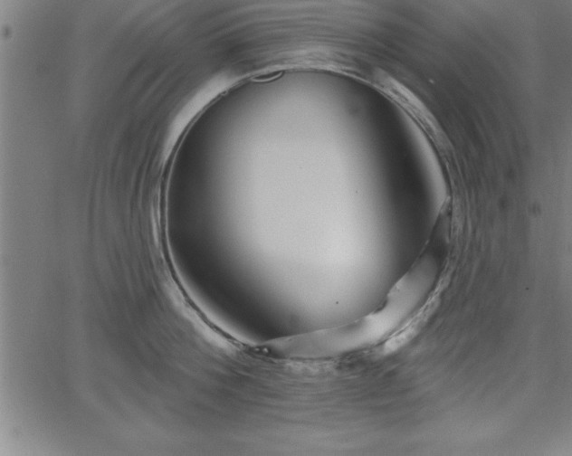 X0000065970812200603061148