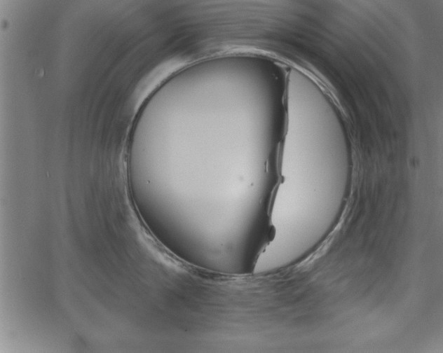 X0000065970814200603061148