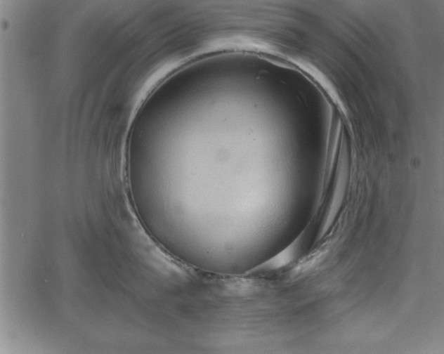 X0000065970815200603061148