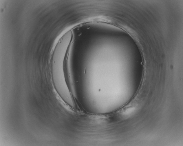 X0000065970816200603061148