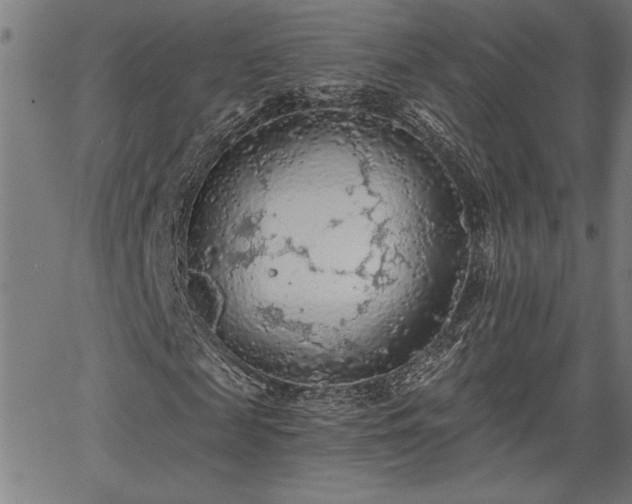 X0000065970817200603061147