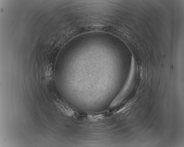 X0000065970818200603061147