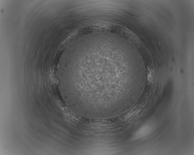 X0000065970819200603061147