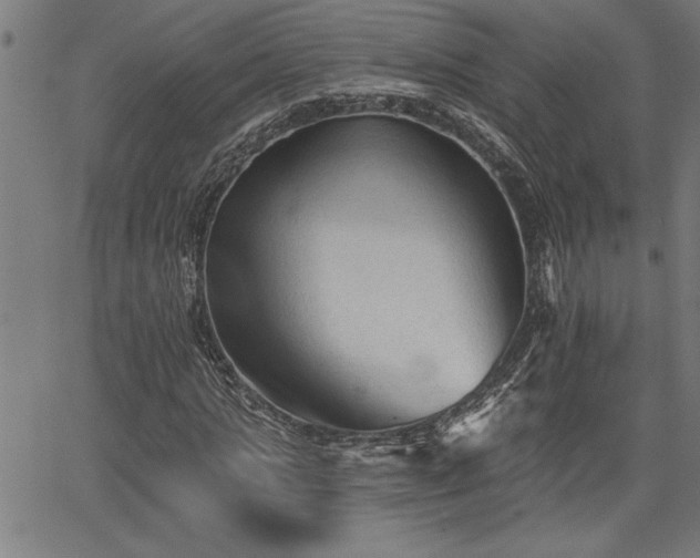 X0000065970821200603061147