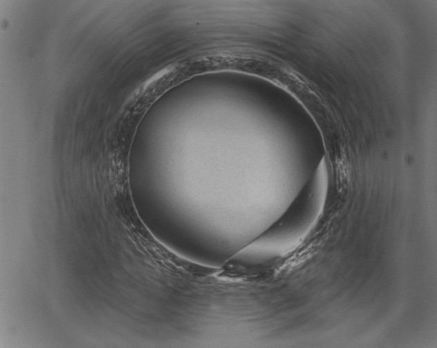 X0000065970822200603061147