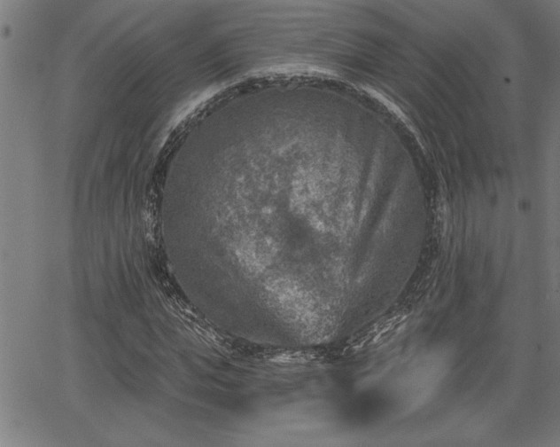 X0000065970823200603061147