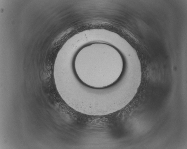 X0000065970824200603061147