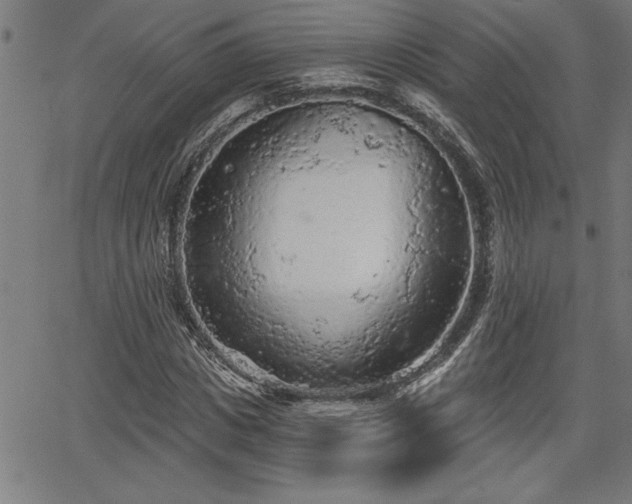 X0000065970825200603061147