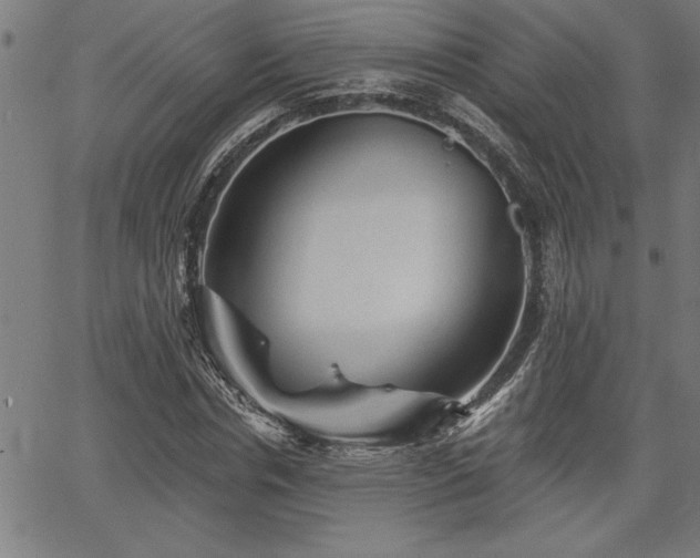 X0000065970826200603061147