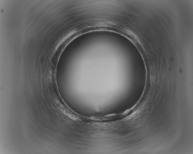 X0000065970827200603061147