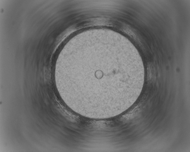 X0000065970828200603061147