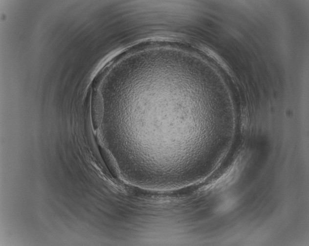 X0000065970829200603061147