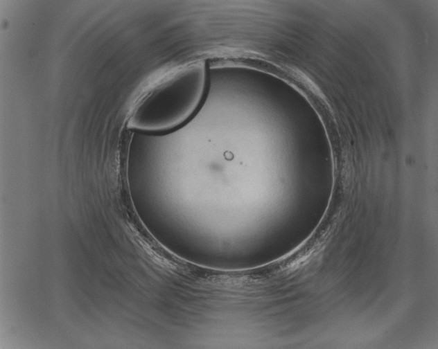 X0000065970831200603061147