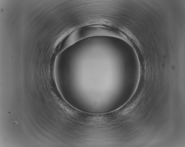 X0000065970834200603061147