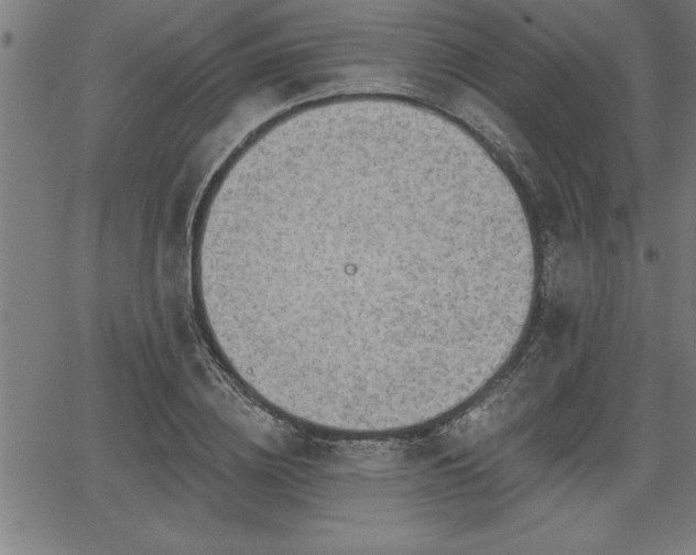 X0000065970836200603061147