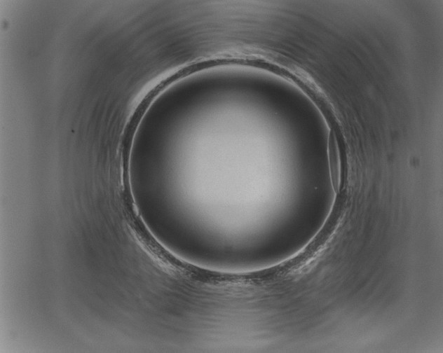 X0000065970838200603061147