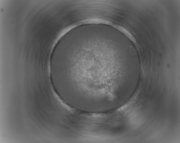 X0000065970839200603061147