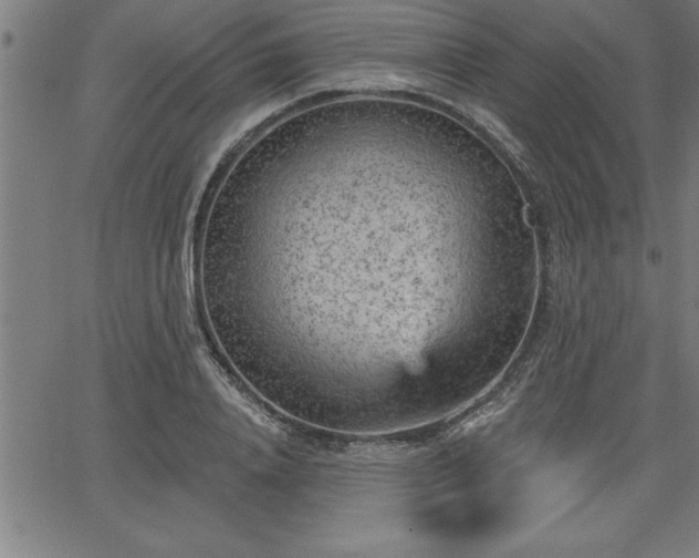 X0000065970840200603061147