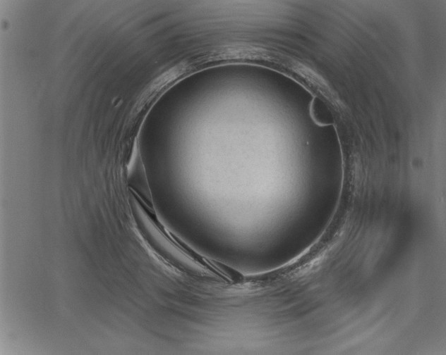 X0000065970841200603061147