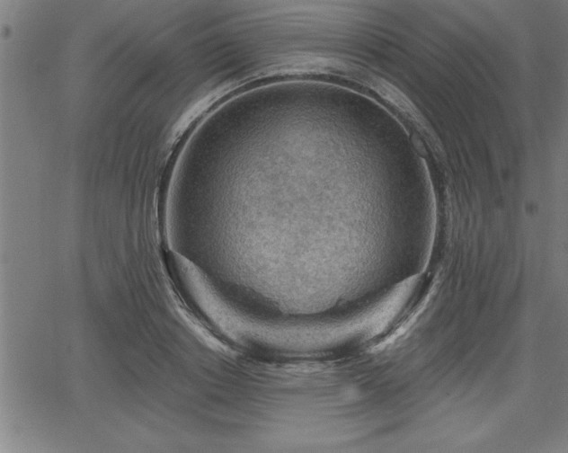 X0000065970842200603061147