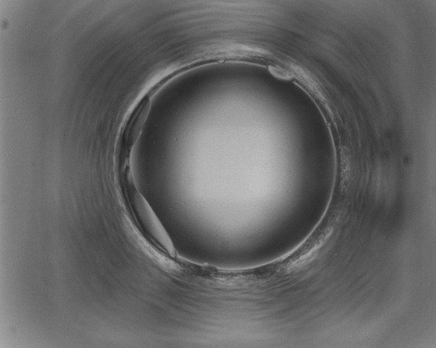 X0000065970843200603061147