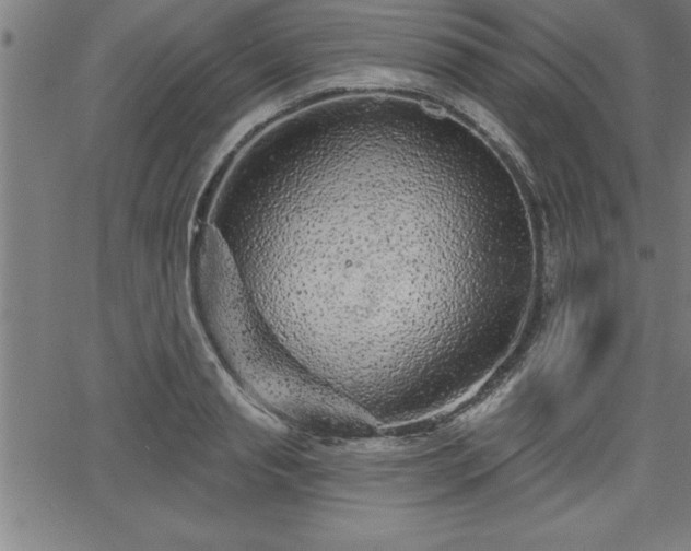 X0000065970845200603061147