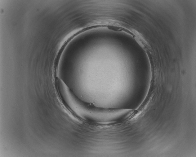 X0000065970846200603061147