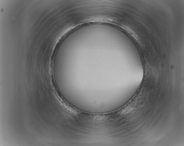 X0000065970848200603061147