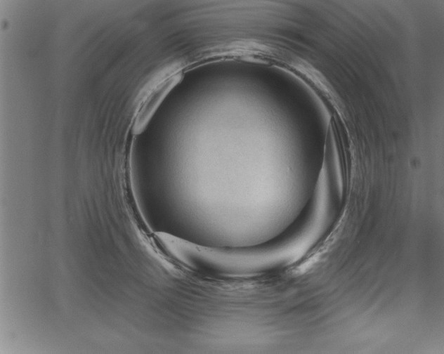 X0000065970850200603061147